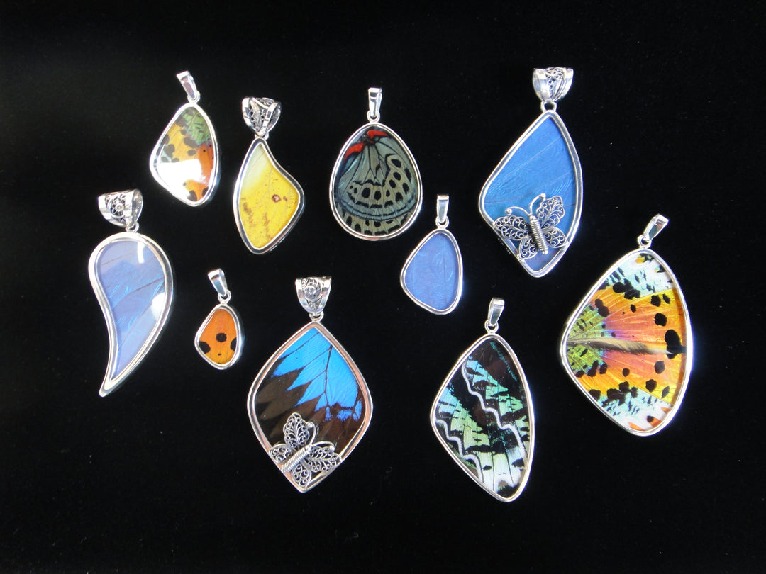 assortment of shimmerwing pendants