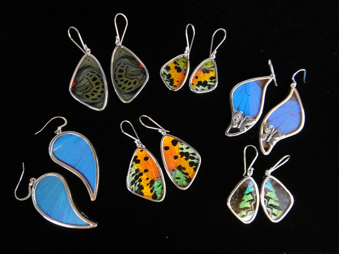 Shimmerwings Earrings