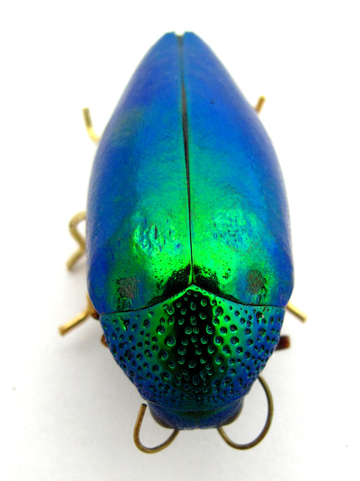 Emerald Beetle Pin