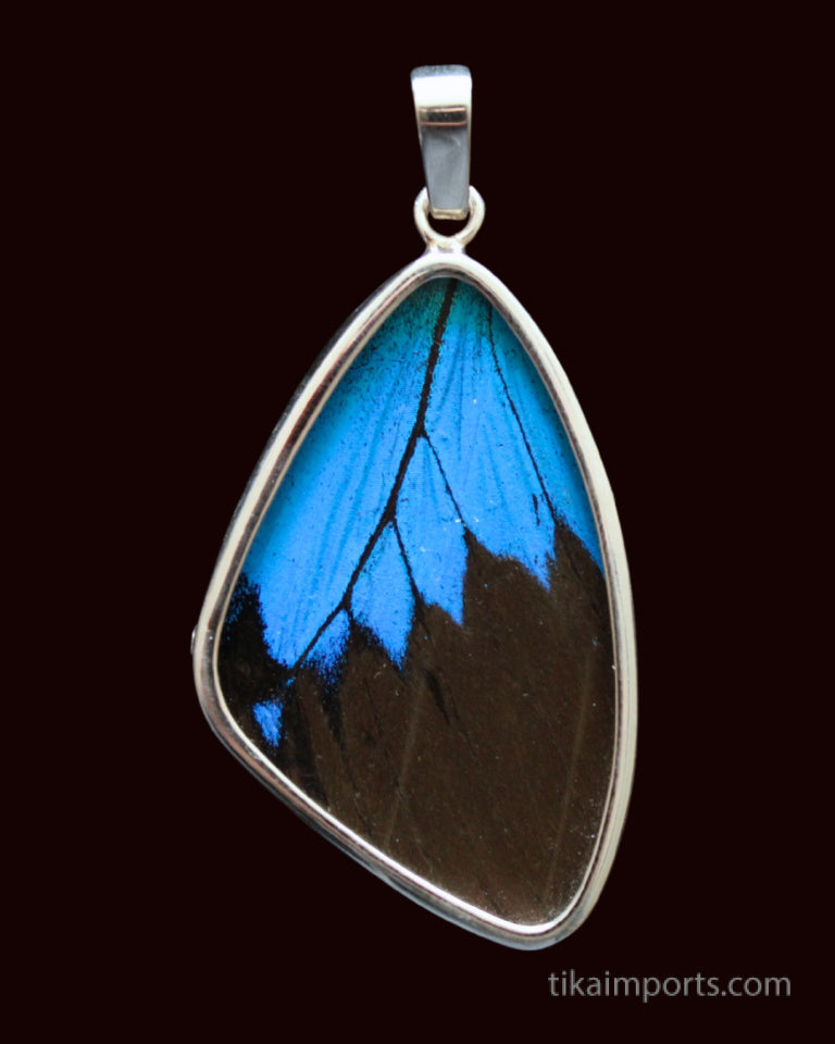 Large Blue & Black Wing Pendant