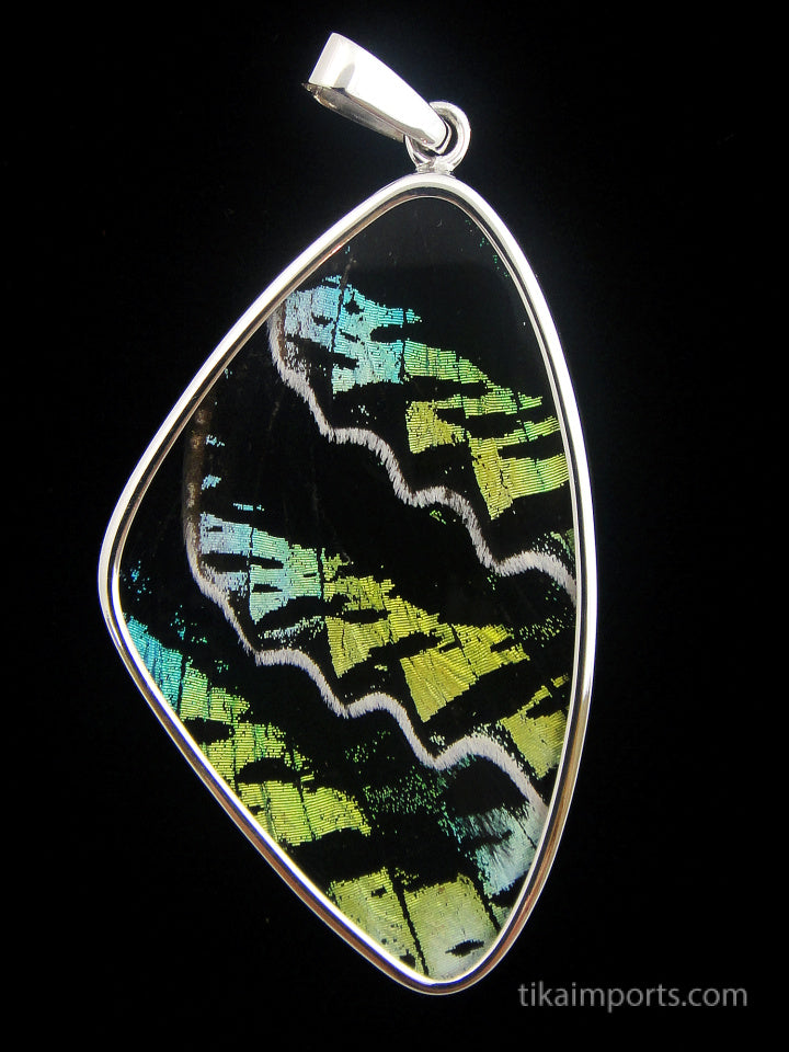 X-Large Aquamarine & Black Wing Pendant