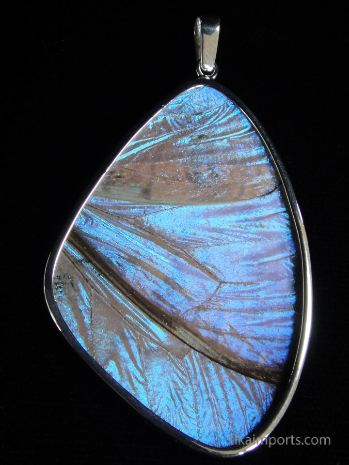 XXL Pearl Blue Wing Pendant
