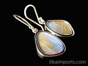Tiny Pearl Blue Wing Earrings