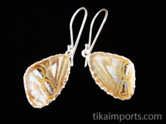 Tiny Pearl Blue Wing Earrings