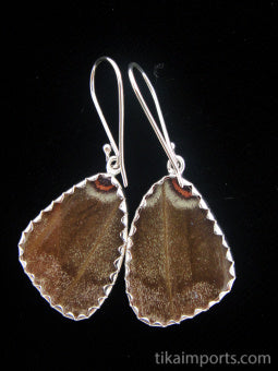 Small Blue Wing Earrings