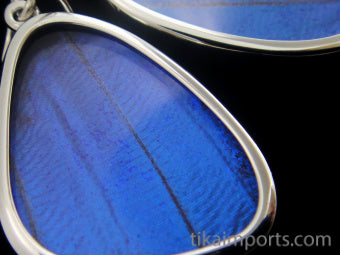 Small Blue Wing Earrings