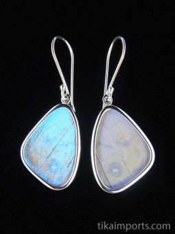 Small Pearl Blue Wing Earrings