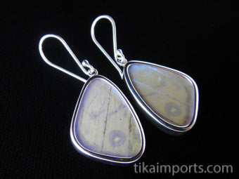 Small Pearl Blue Wing Earrings