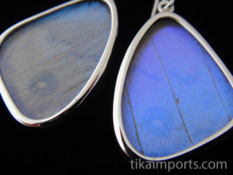 Small Pearl Blue Wing Earrings