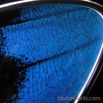 Small Blue & Black Wing Earrings