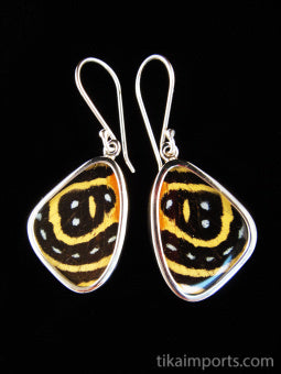 Small Speckled Numberwing Wing Earrings
