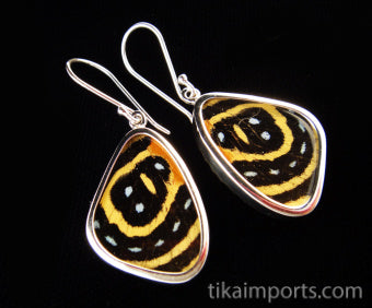 Small Speckled Numberwing Wing Earrings