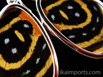 Small Speckled Numberwing Wing Earrings