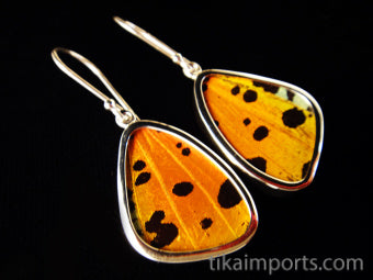 Small Hot Sunset Wing Earrings