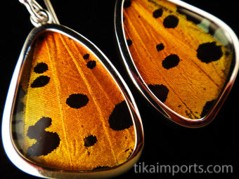 Small Hot Sunset Wing Earrings