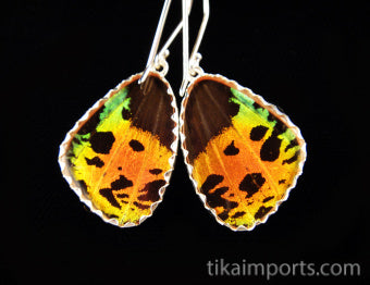 Small Hot Sunset Wing Earrings
