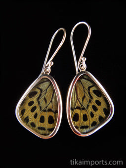 Small Sage Green Wing Earrings