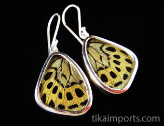 Small Sage Green Wing Earrings