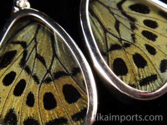 Small Sage Green Wing Earrings
