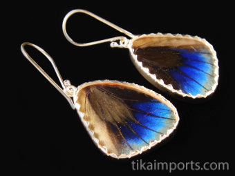Small Sage Green Wing Earrings