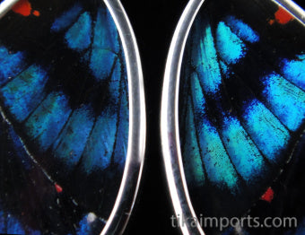 Small Blue Flash Wing Earrings