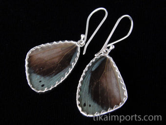 Small Blue Flash Wing Earrings