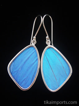 Medium Blue Morpho Earrings