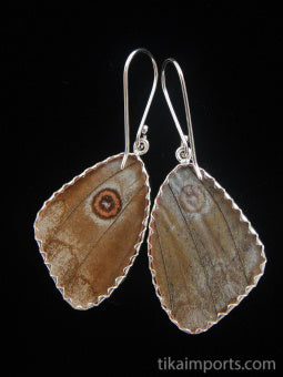 Medium Blue Morpho Earrings