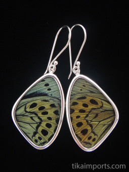 Medium Sage Green Wing Earrings