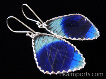 Medium Sage Green Wing Earrings