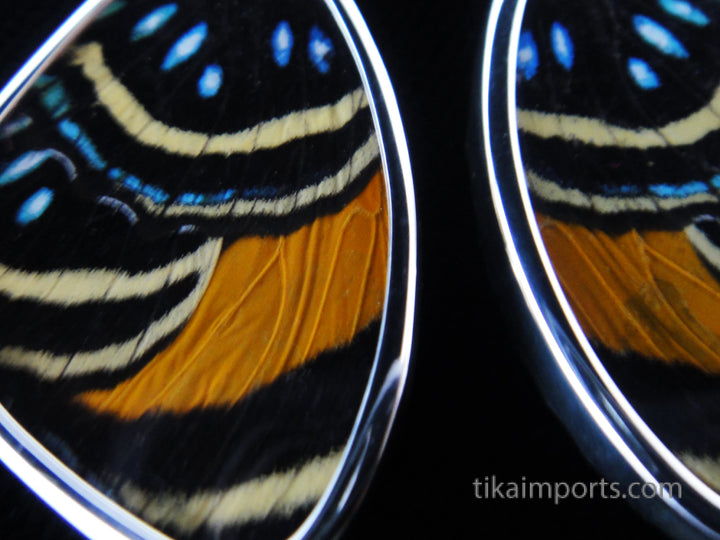 Medium Speckled Numberwing Wing Earrings