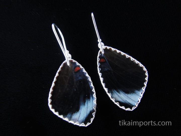 Medium Speckled Numberwing Wing Earrings