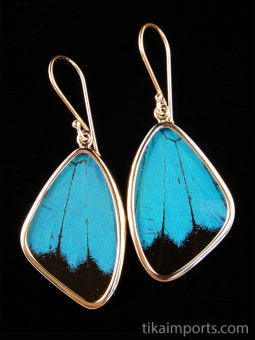 Medium Blue & Black Wing Earrings