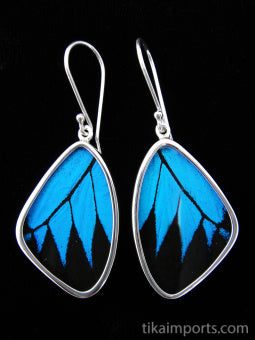 Medium Blue & Black Wing Earrings