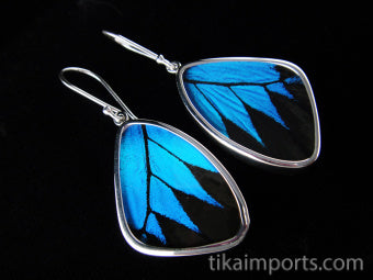 Medium Blue & Black Wing Earrings