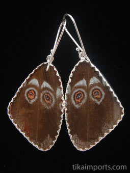 Large Blue Wing Earrings