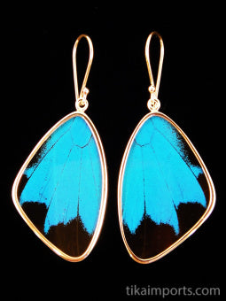 Large Blue & Black Wing Earrings