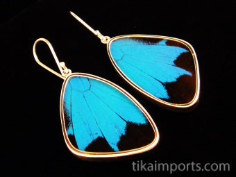Large Blue & Black Wing Earrings