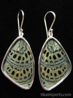 Large Sage Green Wing Earrings