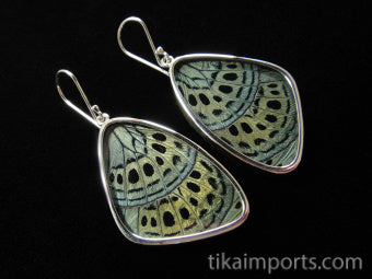Large Sage Green Wing Earrings