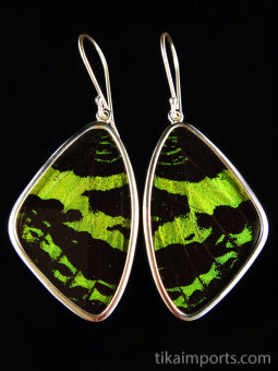 Large Green & Black Wing Earrings