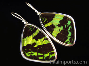Large Green & Black Wing Earrings