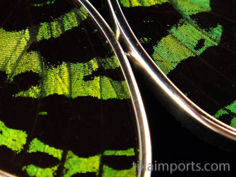 Large Green & Black Wing Earrings