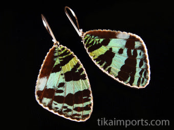 Large Green & Black Wing Earrings