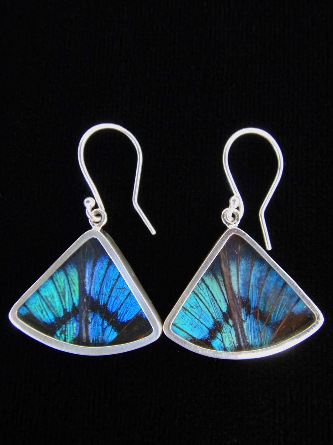 Blue Flash Fan Earrings