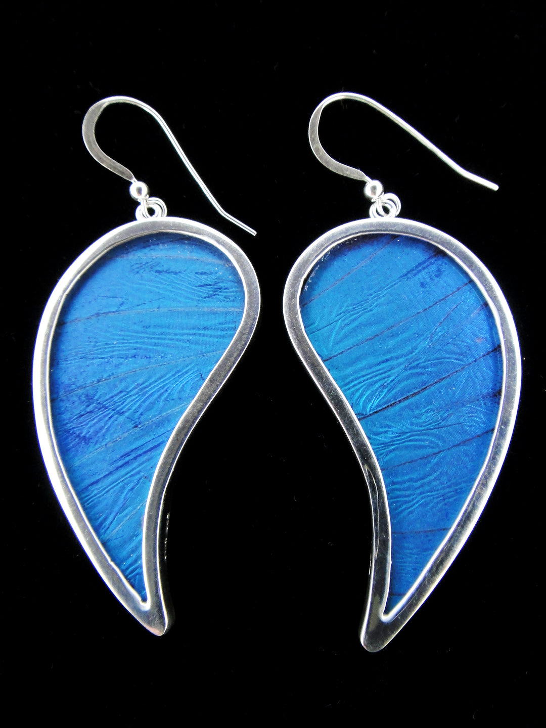Large Blue Paisley Earrings