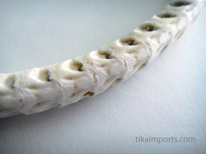 Snake Vertebrae Choker- White