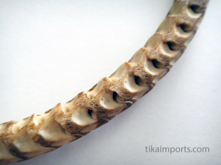Snake Vertebrae Choker- Tan