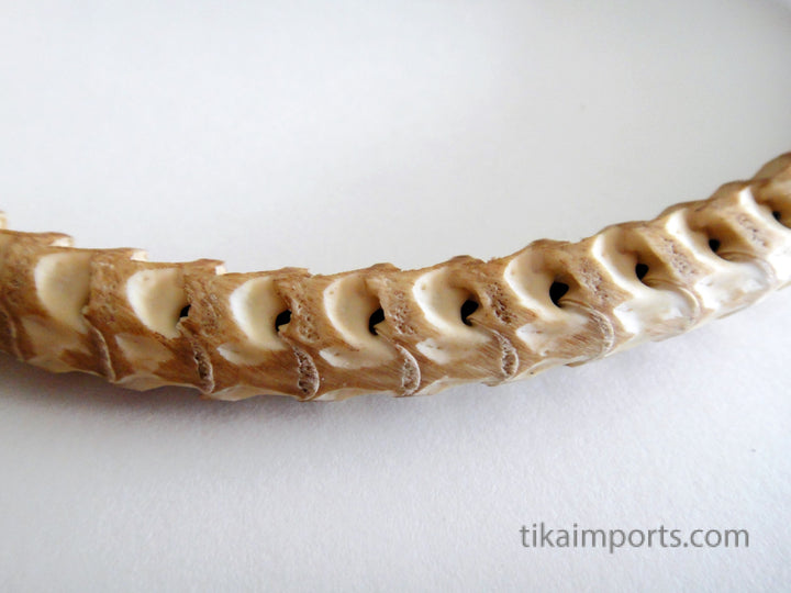 Snake Vertebrae Choker- Tan