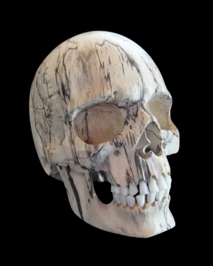 Carved Wood Skull